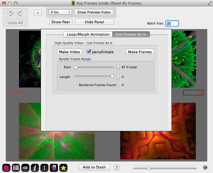 As-Is Video Animation Pane Controls